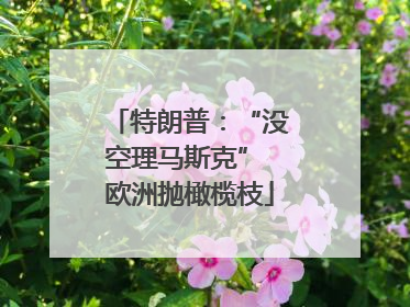 特朗普：“没空理马斯克” 欧洲抛橄榄枝