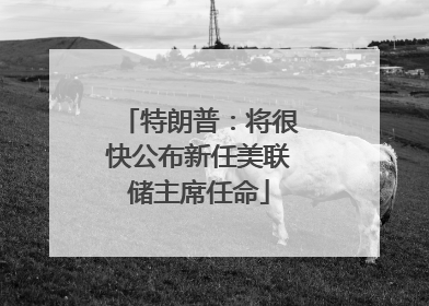 特朗普：将很快公布新任美联储主席任命