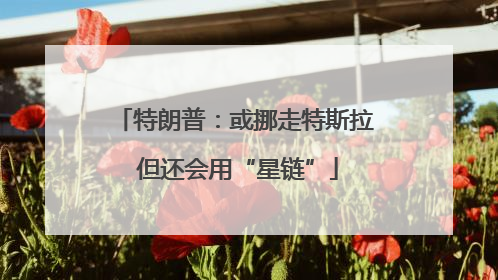 特朗普：或挪走特斯拉 但还会用“星链”