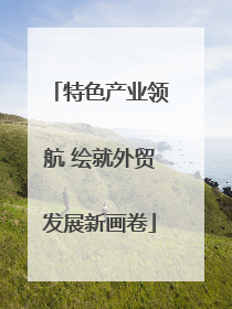特色产业领航 绘就外贸发展新画卷