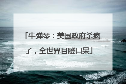 牛弹琴：美国政府杀疯了，全世界目瞪口呆