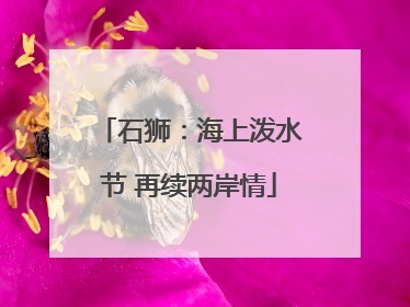 石狮：海上泼水节 再续两岸情