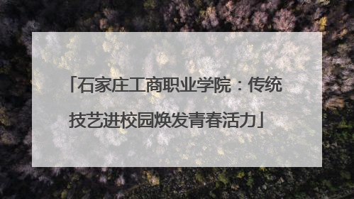 石家庄工商职业学院：传统技艺进校园焕发青春活力