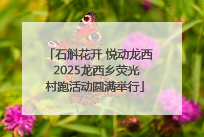 石斛花开 悦动龙西 2025龙西乡荧光村跑活动圆满举行