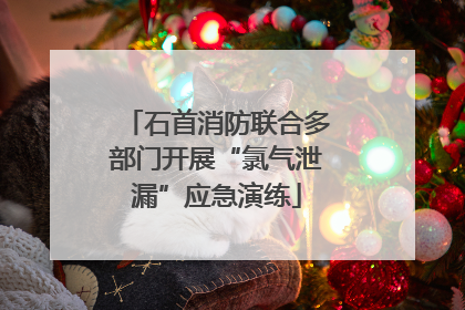 石首消防联合多部门开展“氯气泄漏”应急演练