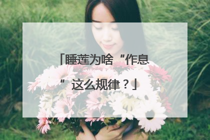 睡莲为啥“作息”这么规律？