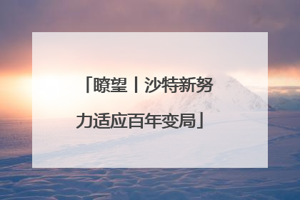 瞭望丨沙特新努力适应百年变局