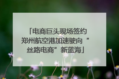 电商巨头现场签约 郑州航空港加速驶向“丝路电商”新蓝海