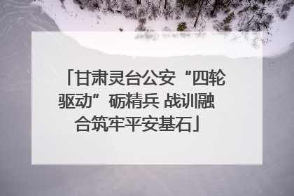 甘肃灵台公安“四轮驱动”砺精兵 战训融合筑牢平安基石