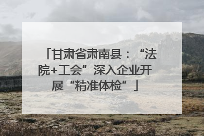 甘肃省肃南县：“法院+工会”深入企业开展“精准体检”