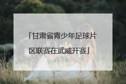 甘肃省青少年足球片区联赛在武威开赛