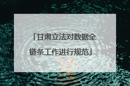 甘肃立法对数据全链条工作进行规范