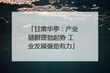 甘肃华亭：产业链群蓬勃起势 工业发展强劲有力