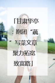 甘肃华亭：抱团“蔬”写菜文章 聚力拓宽致富路