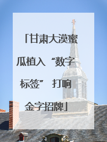 甘肃大漠蜜瓜植入“数字标签” 打响金字招牌