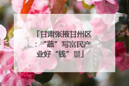 甘肃张掖甘州区：“蔬”写富民产业好“钱”景