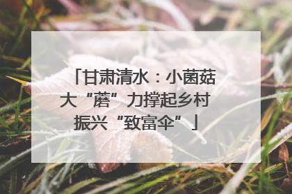 甘肃清水：小菌菇大“蘑”力撑起乡村振兴“致富伞”