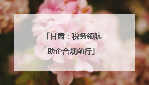 甘肃：税务领航 助企合规前行