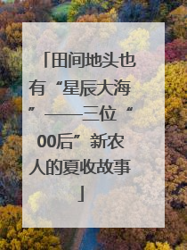 田间地头也有“星辰大海”——三位“00后”新农人的夏收故事
