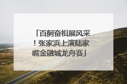 百舸奋楫展风采！张家浜上演陆家嘴金融城龙舟赛