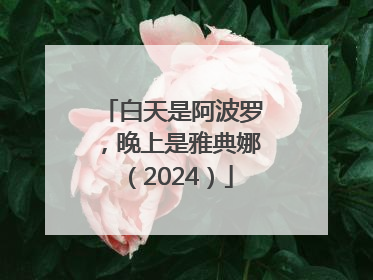 白天是阿波罗，晚上是雅典娜（2024）