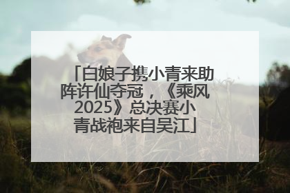 白娘子携小青来助阵许仙夺冠，《乘风2025》总决赛小青战袍来自吴江