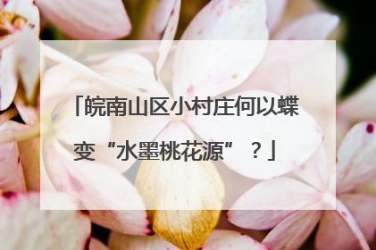 皖南山区小村庄何以蝶变“水墨桃花源”？