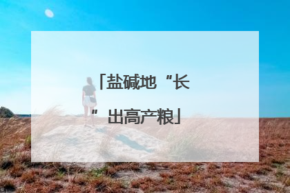盐碱地“长”出高产粮