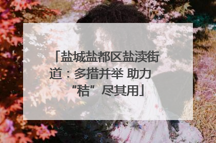 盐城盐都区盐渎街道：多措并举 助力“秸”尽其用