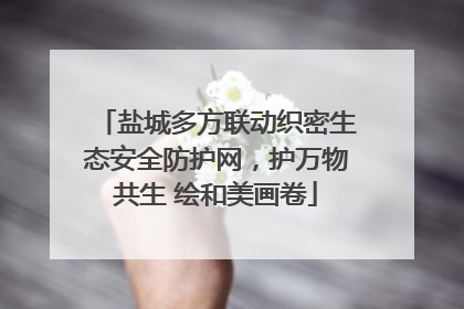 盐城多方联动织密生态安全防护网，护万物共生 绘和美画卷