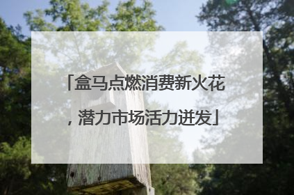 盒马点燃消费新火花，潜力市场活力迸发