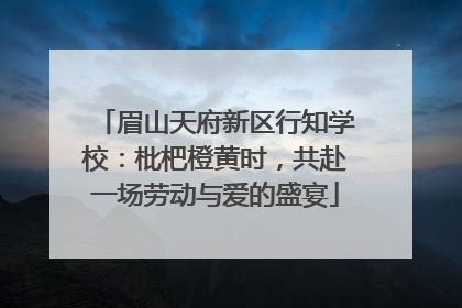 眉山天府新区行知学校：枇杷橙黄时，共赴一场劳动与爱的盛宴