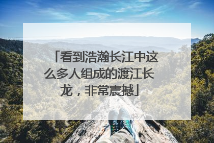 看到浩瀚长江中这么多人组成的渡江长龙，非常震撼