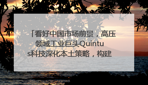 看好中国市场前景，高压领域工业巨头Quintus科技深化本土策略，构建全方位服务亚太区总部