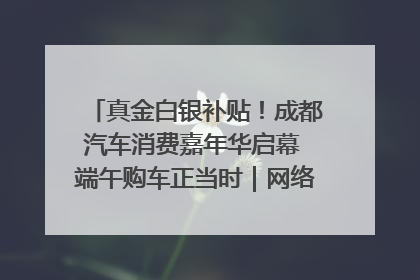 真金白银补贴！成都汽车消费嘉年华启幕 端午购车正当时｜网络中国节·端午