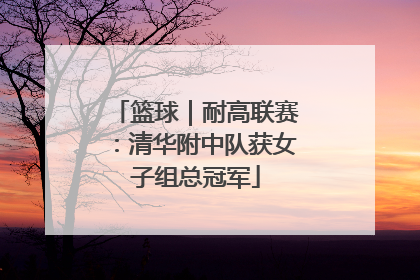 篮球｜耐高联赛：清华附中队获女子组总冠军