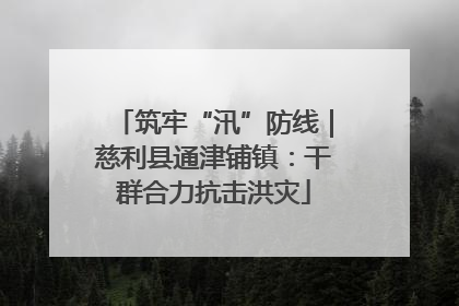 筑牢“汛”防线｜慈利县通津铺镇：干群合力抗击洪灾