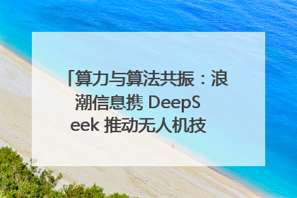 算力与算法共振：浪潮信息携 DeepSeek 推动无人机技术在舟山落地