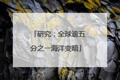 研究：全球逾五分之一海洋变暗