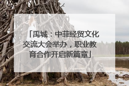 禹城：中菲经贸文化交流大会举办，职业教育合作开启新篇章