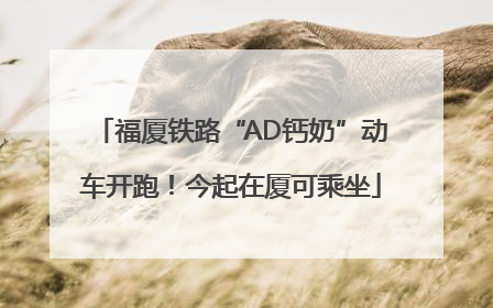 福厦铁路“AD钙奶”动车开跑！今起在厦可乘坐