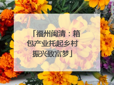 福州闽清：箱包产业托起乡村振兴致富梦