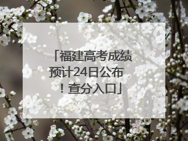 福建高考成绩预计24日公布！查分入口