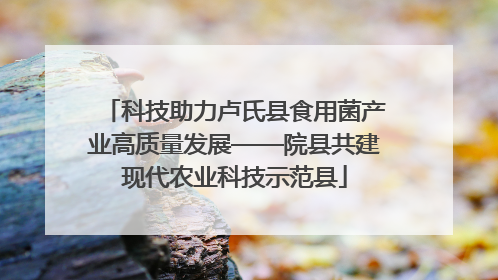 科技助力卢氏县食用菌产业高质量发展——院县共建现代农业科技示范县