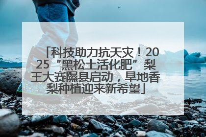 科技助力抗天灾！2025“黑松土活化肥”梨王大赛隰县启动，旱地香梨种植迎来新希望