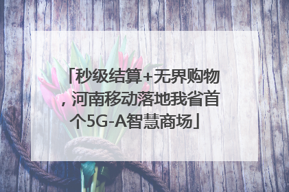 秒级结算+无界购物，河南移动落地我省首个5G-A智慧商场