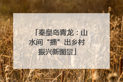 秦皇岛青龙：山水间“播”出乡村振兴新图景