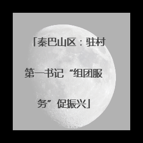 秦巴山区：驻村第一书记“组团服务”促振兴