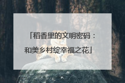 稻香里的文明密码：和美乡村绽幸福之花