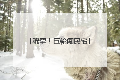 稀罕！巨轮闯民宅